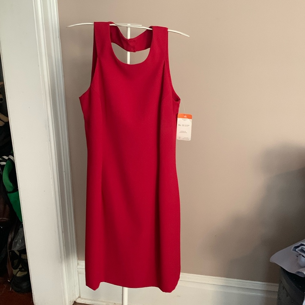 Adrianna Papell open back cocktail dress. NWT.